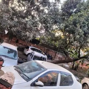 Car scrap dealer