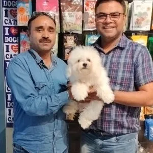 Buy purebred puppies & dogs for sale thane