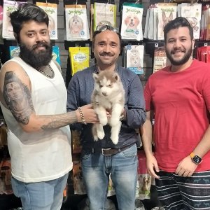 Dog for sale in delhi: the best place to find your companion