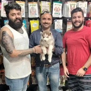Dog for sale in delhi: the best place to find your companion