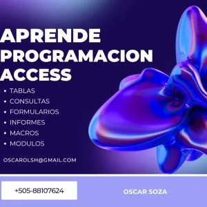 Domina microsoft access y crea sistemas profesionales