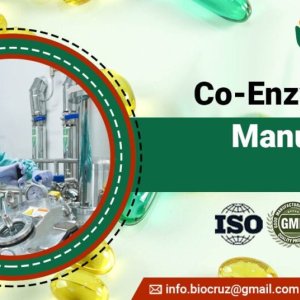 Coenzyme q10 manufacturer in india