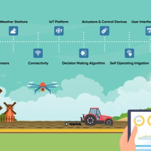 How a smart irrigation system using iot enhances water conservat