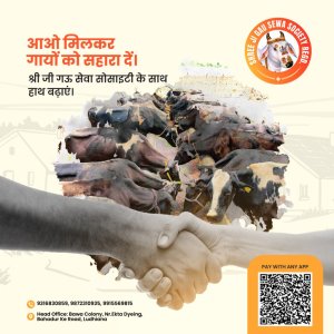How to make online donations for gaushala support