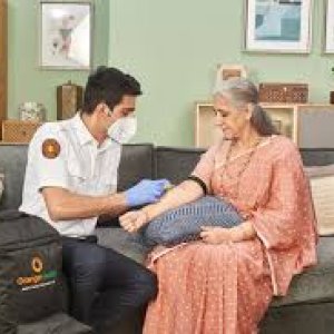Company description: welcome to orange health labs experience t