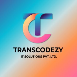 It services & consultancy in surat - transcodezy