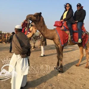 Desert safari camp jaisalmer