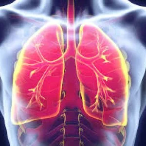 Lung cancer treatment cost in india