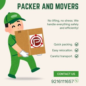 Professional loading and unloading services by piyush packers
