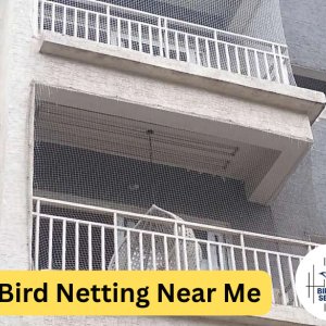 Bird netting near me: expert installation for pigeon-free spaces