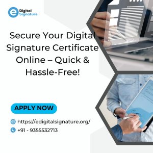Secure your digital signature certificate online – quick & hass