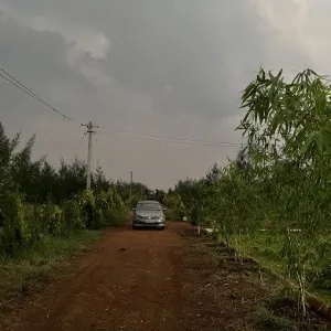 Karnataka agricultural land