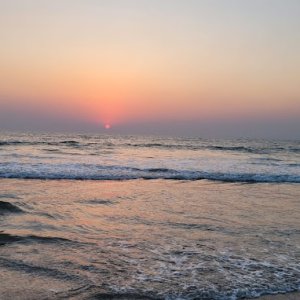 Viz travels leading travel agency in noida for all your vacation