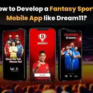 How to build a fantasy sports app like dream11 | protonshub