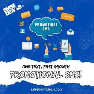 Elevate your marketing with promotional sms