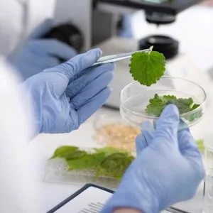 Biotechnology colleges in lucknow