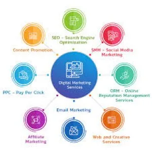 Improve your website ranking with drexlo