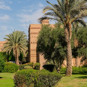 Mercure lodge club madina – family fun