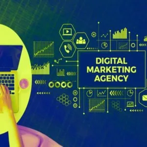 Dominate search rankings with the top seo agency in india