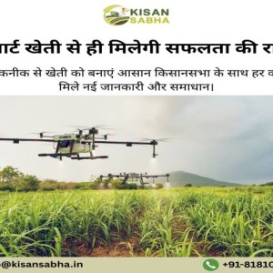 Build a better future with agri business startups
