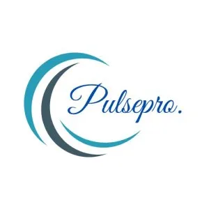 Pulsepro: best digital marketing agency in allahabad