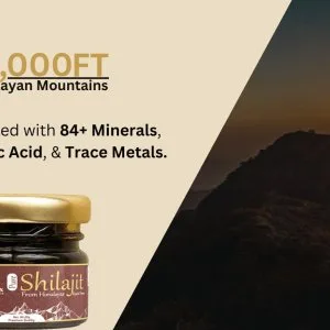 Pure kashmiri shilajit