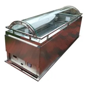 Dead body freezer box rental delhi ncr