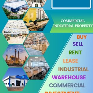 Real estate consultant