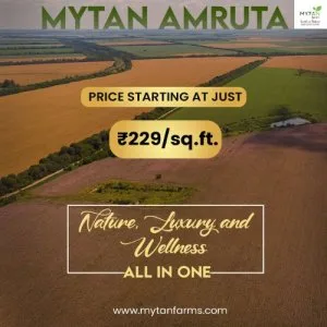 Prime agricultural land for sale in bangalore – invest in growth