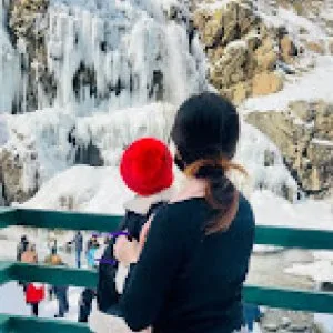 Explore the world with viz travels – best travel agency in noida