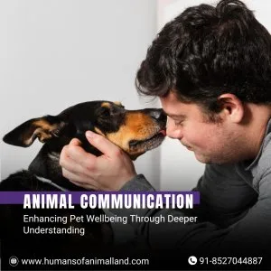 Animal communication