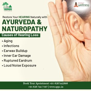 Panchakarma treatments in delhi