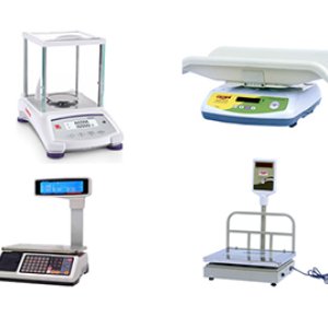 Digital crane weighing scale | crown scales