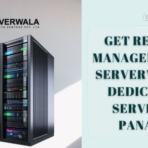 Get remote management with serverwala’s panama dedicated server