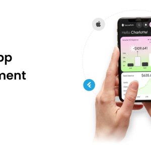 Custom mobile app development services