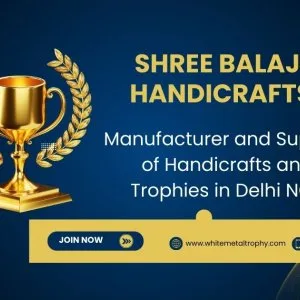 Best place to buy custom trophies in delhi ncr