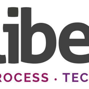 Get compliance audit and risk management services by calibehr