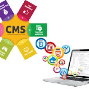 Professional services in dynamicwebsitemaintenancedynamicwebsite
