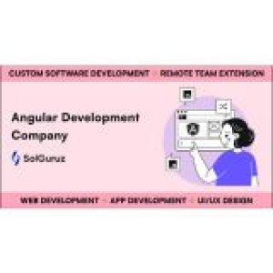 Custom angular development services for scalable web apps