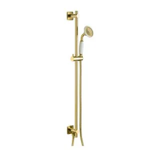 Gold shower rail