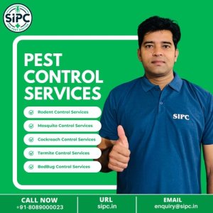 Pest control sarvice