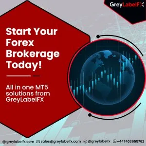 Branded mt5 grey label – $2500/month – no setup fee