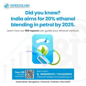 Tev reports & consulting across india’s metro cities