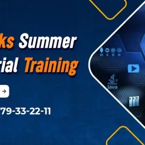 6-week summer training | summer internship in noida