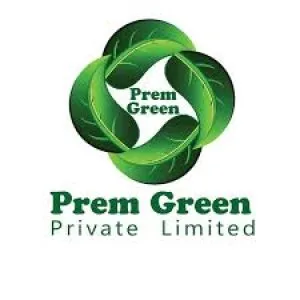 Best mehendi cone brand trusted by artists prem green