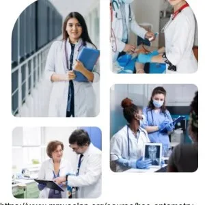 Bsc optometry course details