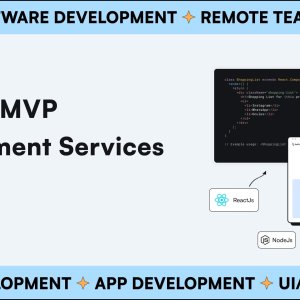 Mvp development services for startups & businesses | solguruz