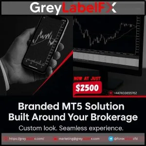 Branded mt5 grey label server – professional fx broker solution