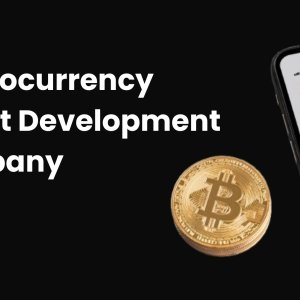 Cryptocurrency wallet development services