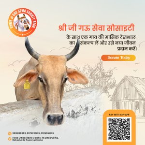 Cow donation at gauseva society – support & serve today